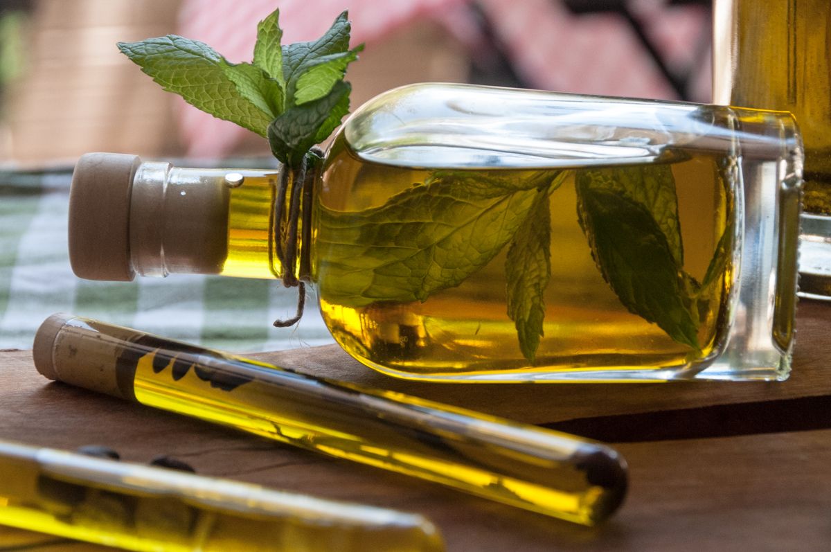 How to infuse olive oil